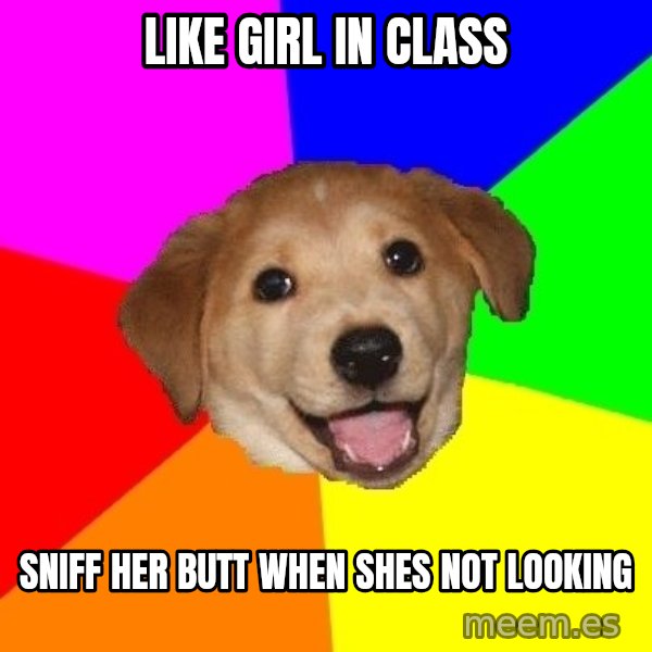 Advice Dog meme: like girl in class / sniff her butt when shes not looking