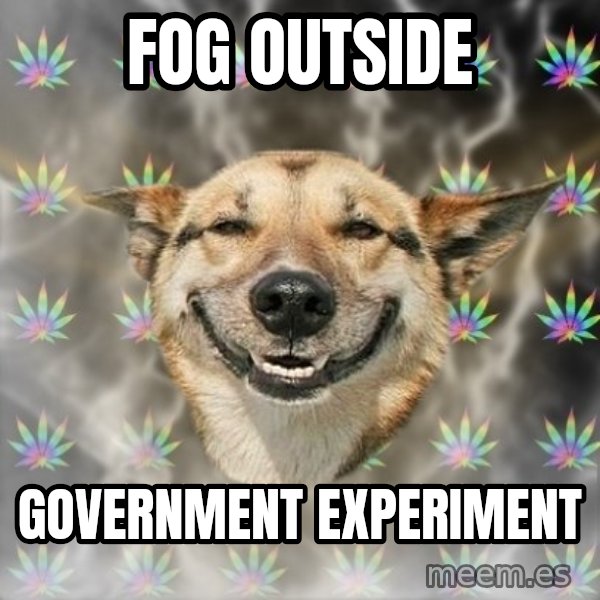Stoner Dog meme: fog outside / Government experiment