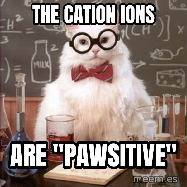 Chemistry Cat meme: The CATion ions / aRE "PAWSITIVE"