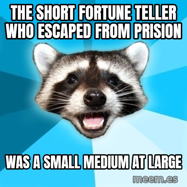 Lame Pun Coon meme: The short fortune teller who escaped from prision / was a small medium at large