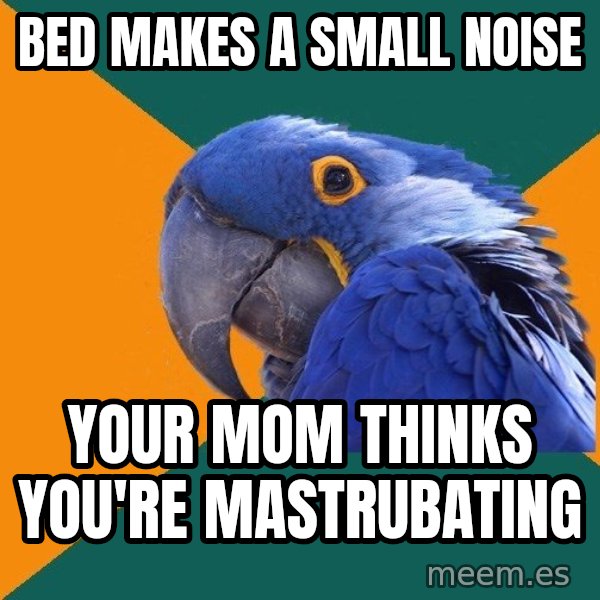 Paranoid Parrot meme: BED MAKES A SMALL NOISE / yOUR MOM THINKS YOU'RE MASTRUBATING
