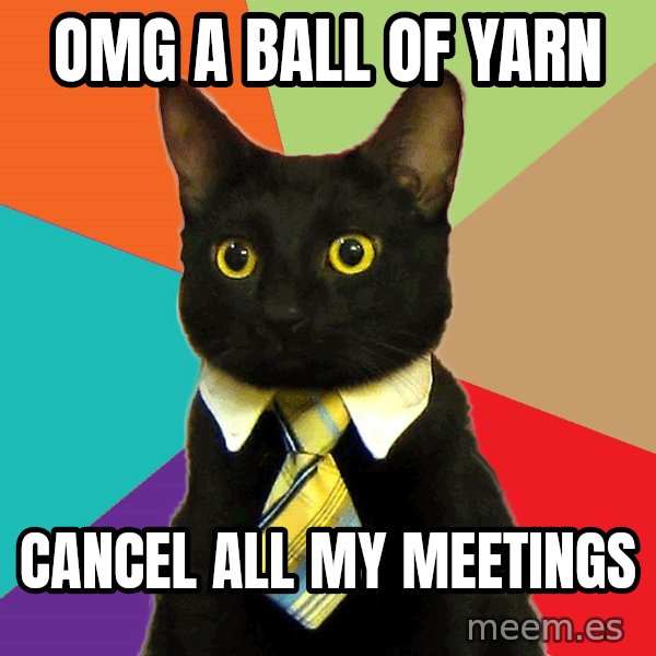 Business Cat meme: OMG A BALL OF YARN / CANCEL ALL MY MEETINGS