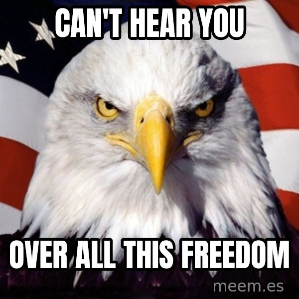 American Pride Eagle meme: can't hear you / over all this freedom