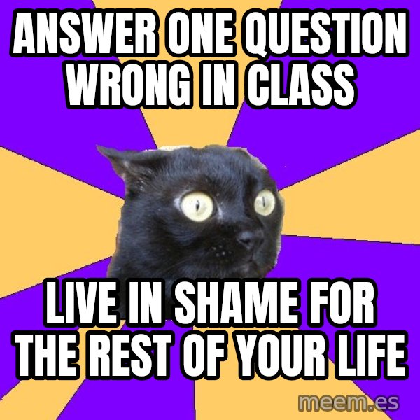 Anxiety Cat meme: answer one question wrong in class / live in shame for the rest of your life