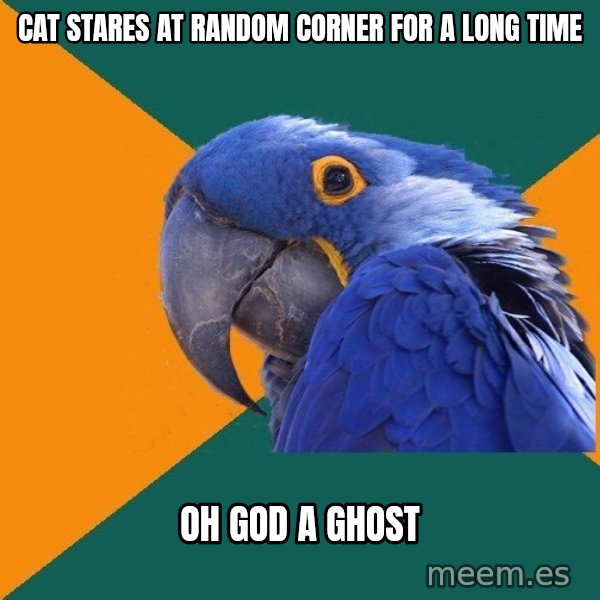 Paranoid Parrot meme: cat stares at random corner for a long time / oh god a ghost
