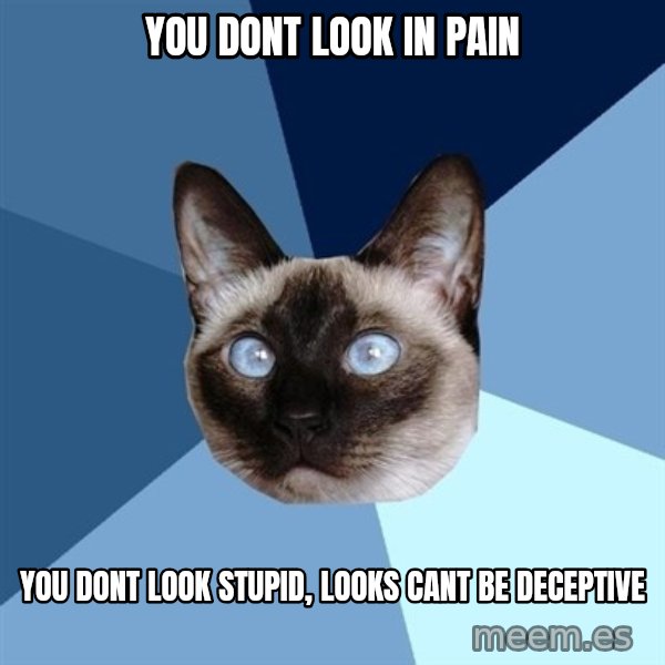 Chronic Illness Cat meme: You dont look in pain / you dont look stupid, looks cant be deceptive