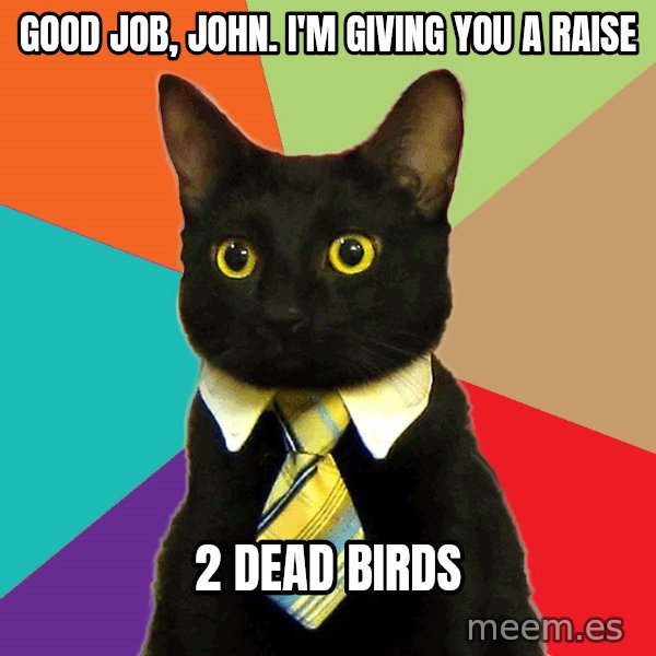 Business Cat meme: Good job, John. I'm givIng you a raise / 2 Dead Birds
