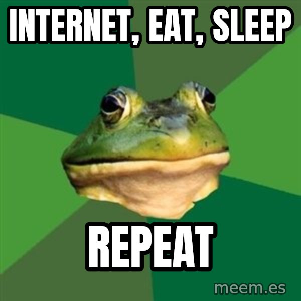 Foul Bachelor Frog meme: Internet, eat, sleep / Repeat