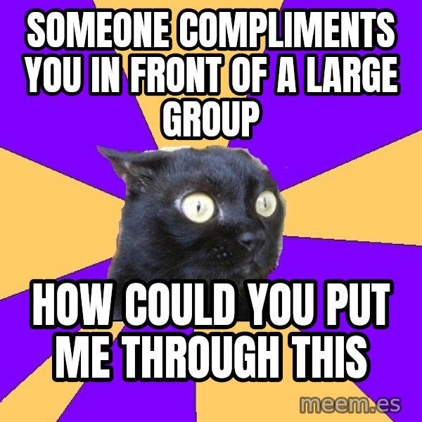 Anxiety Cat meme: someone compliments you in front of a large group / how could you put me through this