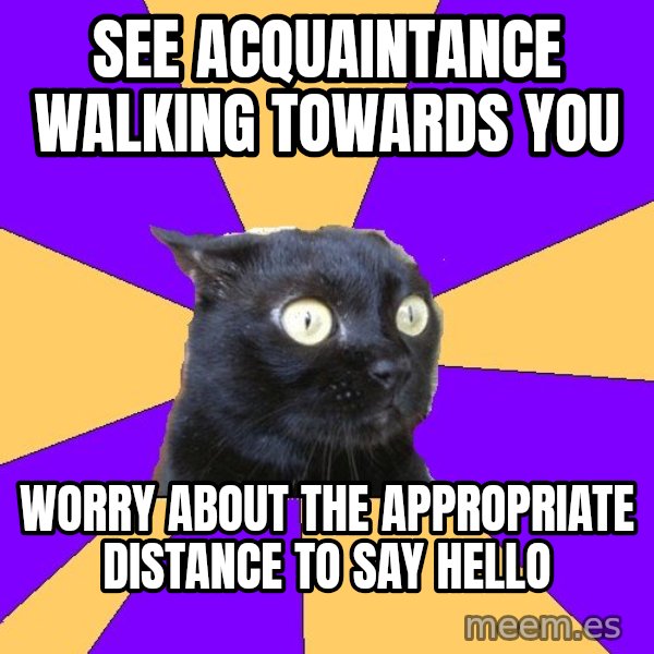 Anxiety Cat meme: see acquaintance walking towards you / worry about the appropriate distance to say hello