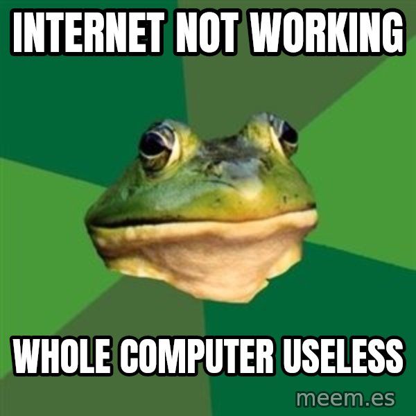 Foul Bachelor Frog meme: Internet not working / whole computer useless