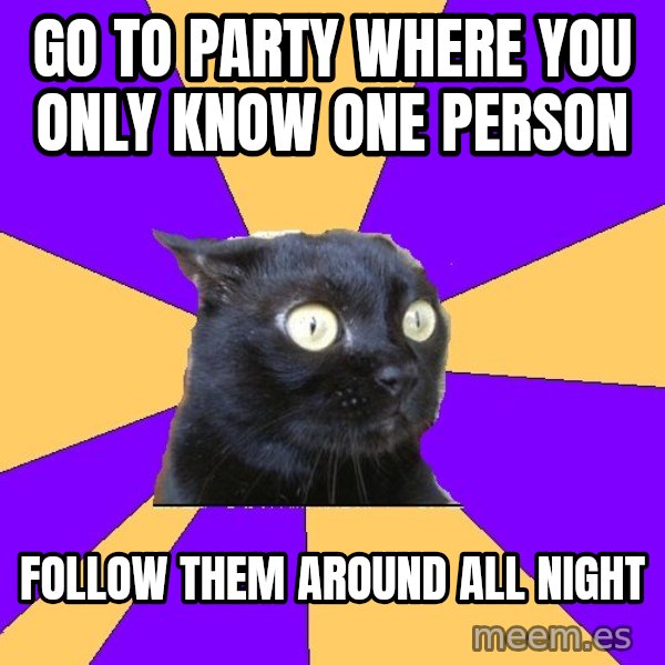 Anxiety Cat meme: go to party where you only know one person / Follow them around all night