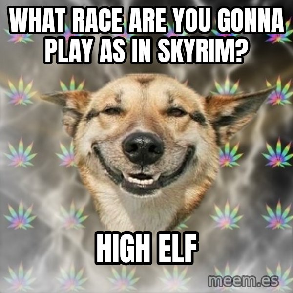Stoner Dog meme: What race are you gonna play as in skyrim? / high elf