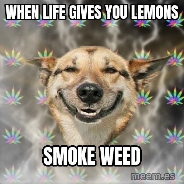 Stoner Dog meme: when life gives you lemons / smoke weed