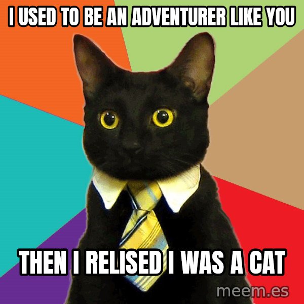 Business Cat meme: i used to be an adventurer like you / then i relised i was a cat