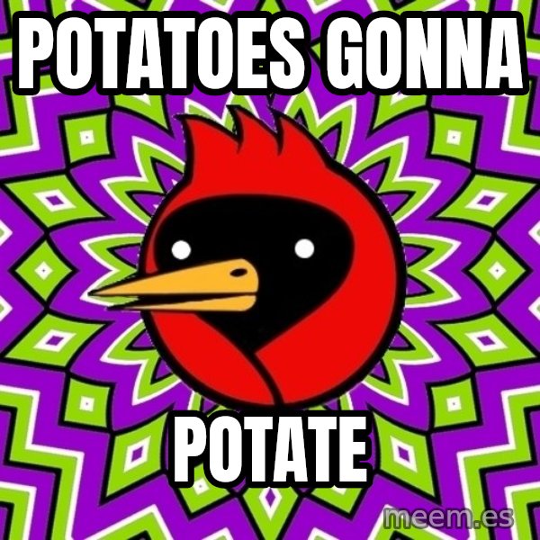 Omsk Crow meme: potatoes gonna / potate