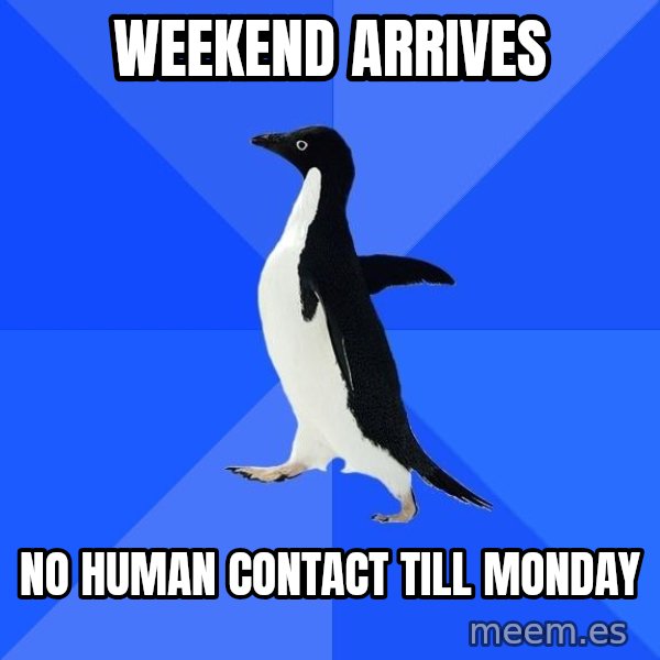 Socially Awkward Penguin meme: weekend arrives / no human contact till monday