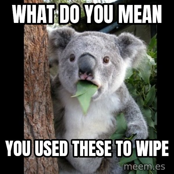 Koala can't believe it meme: WHAT DO YOU MEAN / YOu used these to wipe