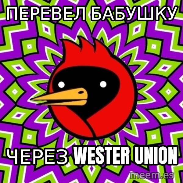 Omsk Crow meme: перевел бабушку / через wester union