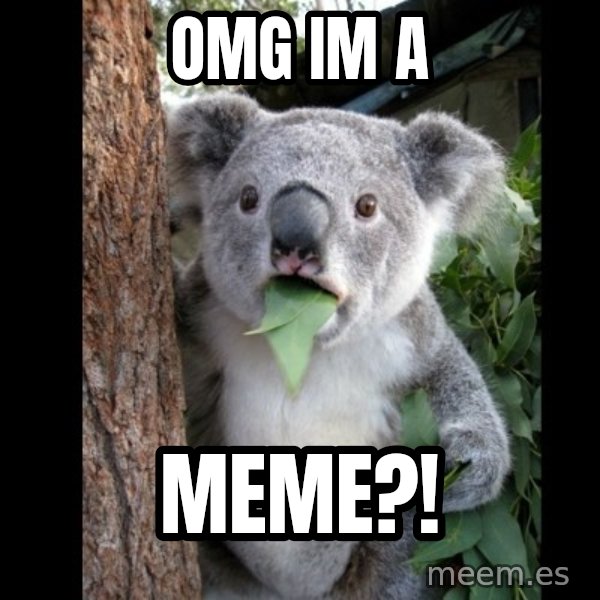 Koala can't believe it meme: omg im a / meme?!