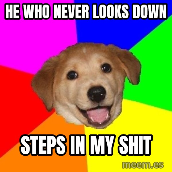Advice Dog meme: he who never looks down / steps in my shit