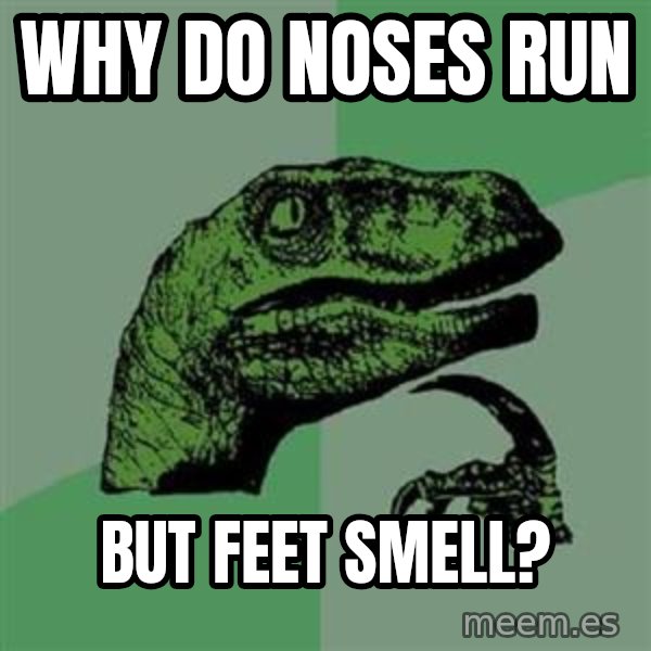 Philosoraptor meme: why do noses run / but feet smell?
