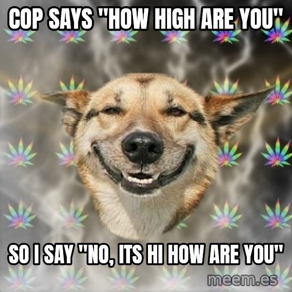 Stoner Dog meme: Cop says "how high are you" / so i say "No, its hi how are you"