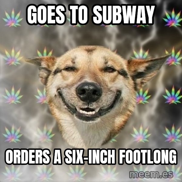 Stoner Dog meme: goes to subway / orders a six-inch footlong