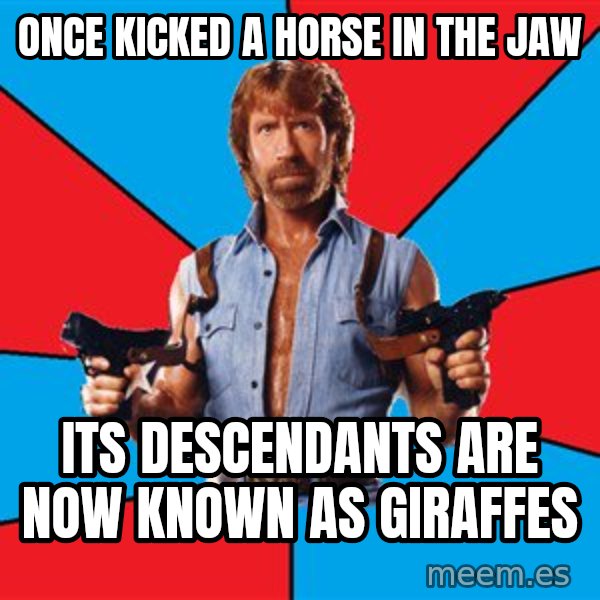 Chuck Norris  meme: Once kicked a horse in the jaw / its descendants are now known as giraffes