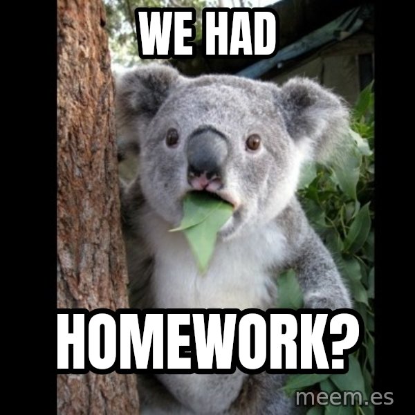 Koala can't believe it meme: we had / homework?