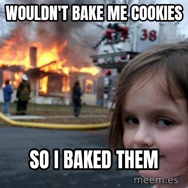 Disaster Girl meme: wouldn't bake me cookies / so i baked them