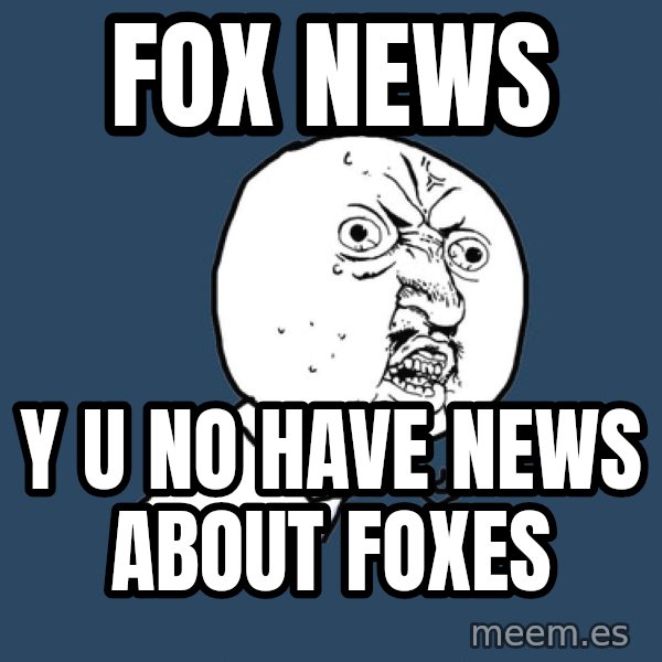 Y U No meme: fox news / y u no have news about foxes