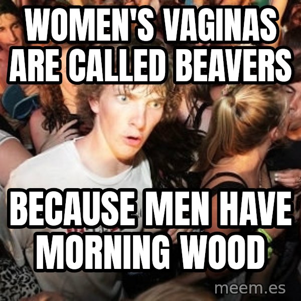 Sudden Realization Ralph meme: women's vaginas are called beavers / because men have morning wood