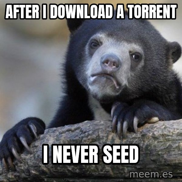 Confession Bear meme: AFter i download a torrent / i never seed