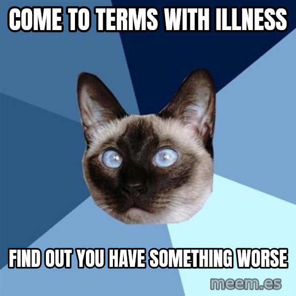 Chronic Illness Cat meme: come to terms with illness / find out you have something worse