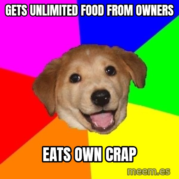 Advice Dog meme: Gets unlimited food from owners / eats own crap