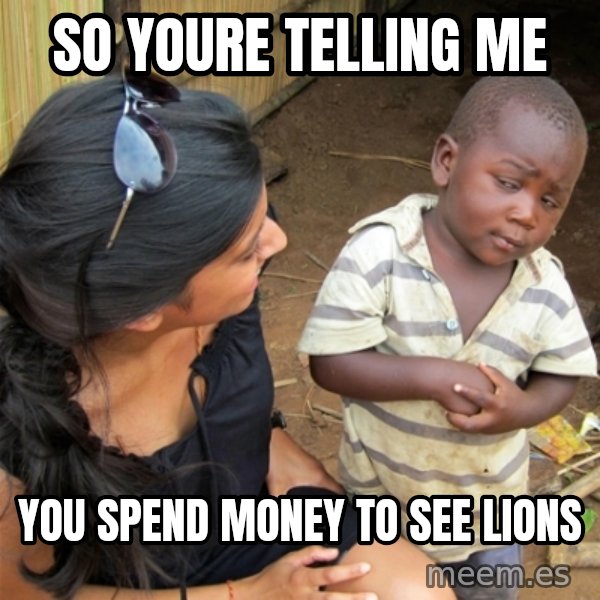 So You're Telling me meme: so youre telling me / you spend money to see lions