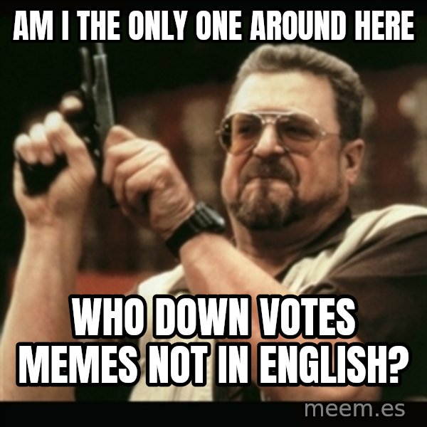 am i the only one around here meme: AM I THE ONLY ONE AROUND HERE / WHO DOWN VOTES MEMES NOT IN ENGLISH?
