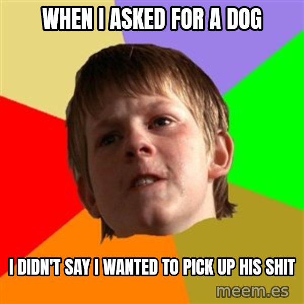 Angry School Boy meme: when i asked for a dog / i didn't say i wanted to pick up his shit