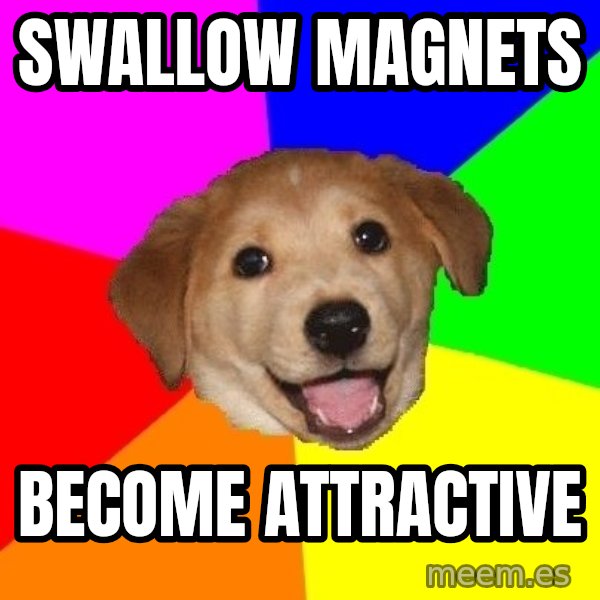 Advice Dog meme: Swallow magnets / Become attractive