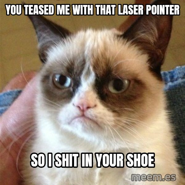 Grumpy Cat  meme: you teased me with that laser pointer / so i shit in your shoe