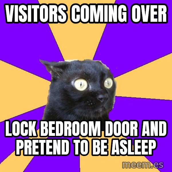 Anxiety Cat meme: Visitors coming over / lock bedroom door and pretend to be asleep