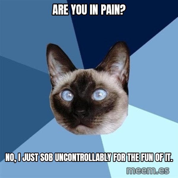 Chronic Illness Cat meme: are you in pain? / no, I just sob uncontrollably for the fun of it.