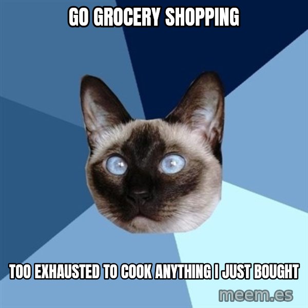Chronic Illness Cat meme: go grocery shopping / too Exhausted to cook anything I just bought