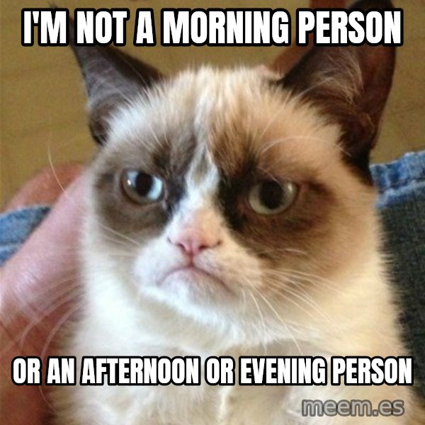 Grumpy Cat  meme: I'm not a morning person / or an afternoon or evening person