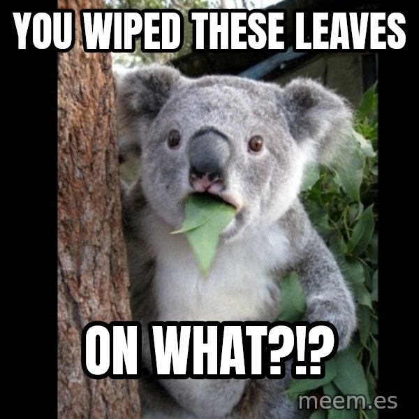 Koala can't believe it meme: You wiped these leaves / on what?!?