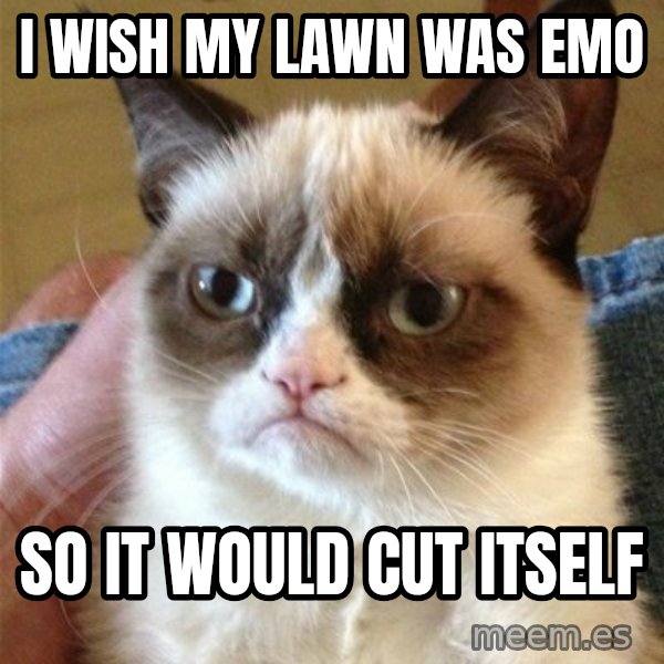 Grumpy Cat  meme: I wish my lawn was emo / so it would cut itself