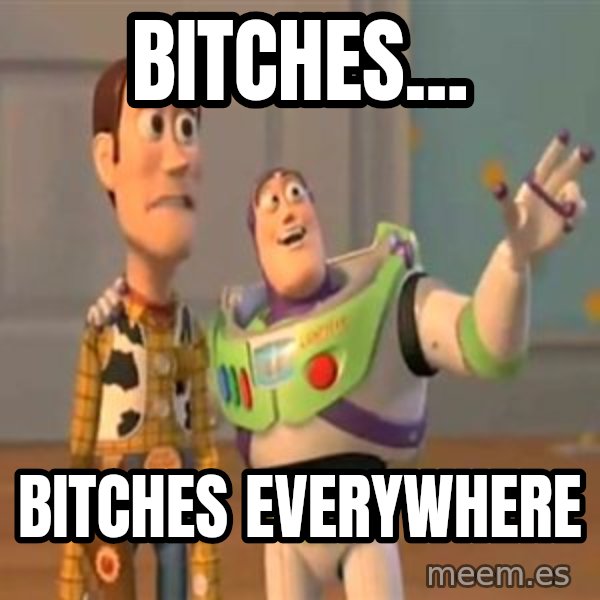 X, X Everywhere  meme: Bitches... / Bitches everywhere