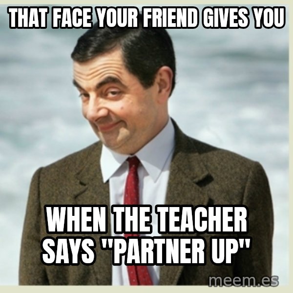 MR bean meme: that face your friend gives you / when the teacher says "partner up"