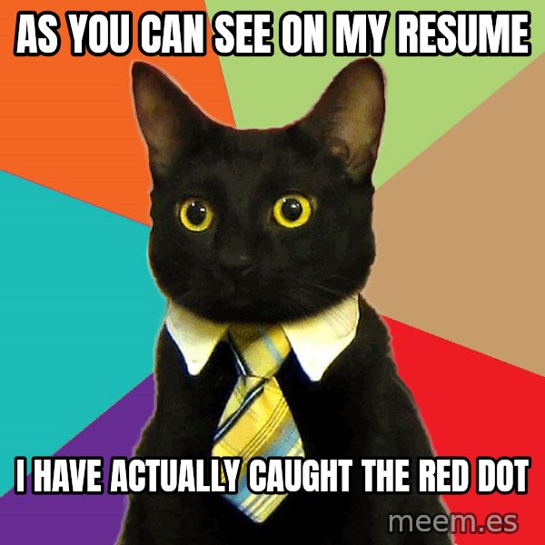 Business Cat meme: As you can see on my resume / I have actually caught the red dot
